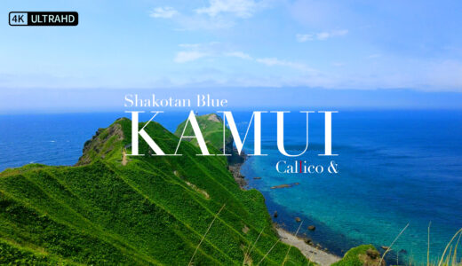 Callico & new song “KAMUI” from Shakotan Hokkaido